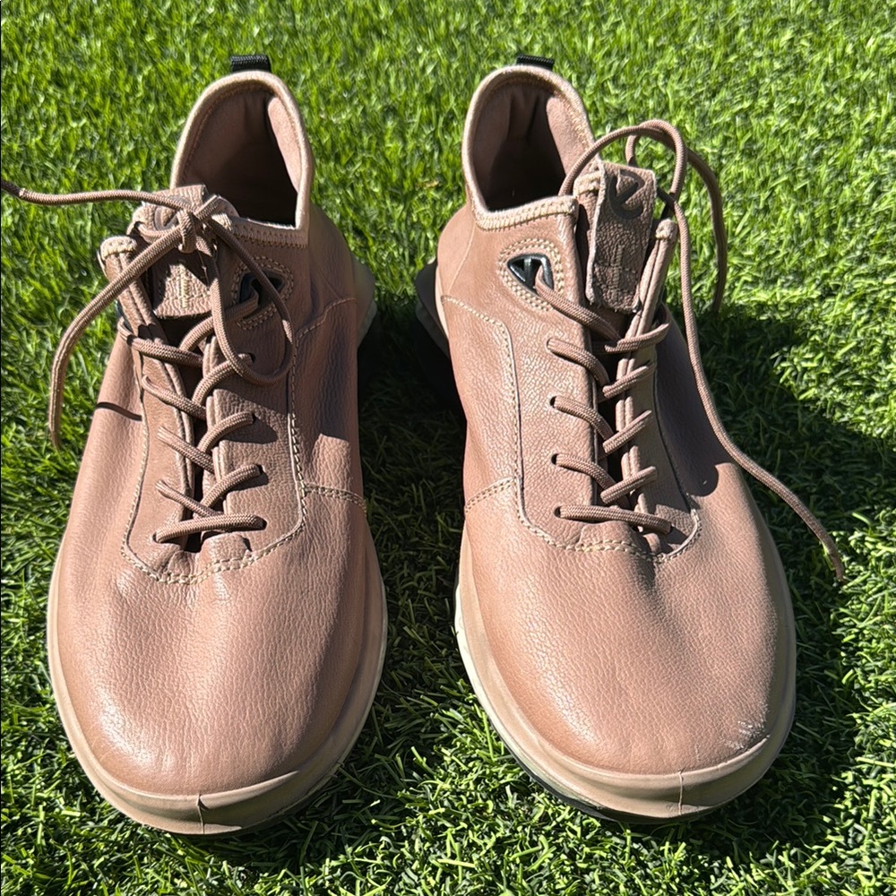 Men's Ecco street 360 Morel size 45